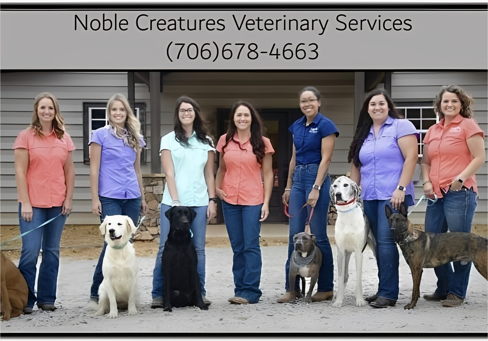 Veterinarians and dogs in front of building