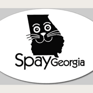 SpayGeorgia