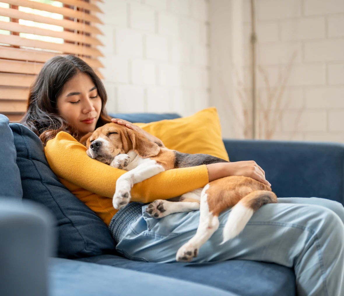 Woman cuddling sleeping dog on sofa